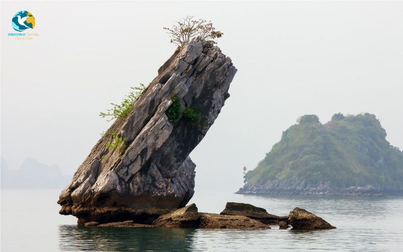 Frog Islet