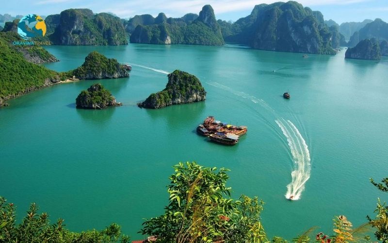 Bai Tu Long