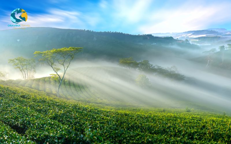Da Lat City