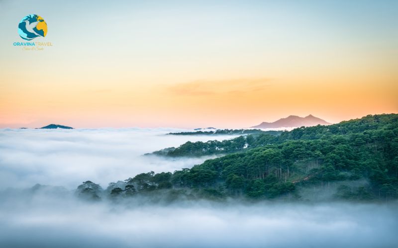 Da Lat city wakes slowly