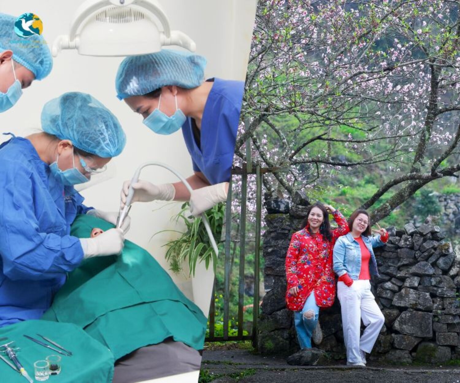 dental care with travel