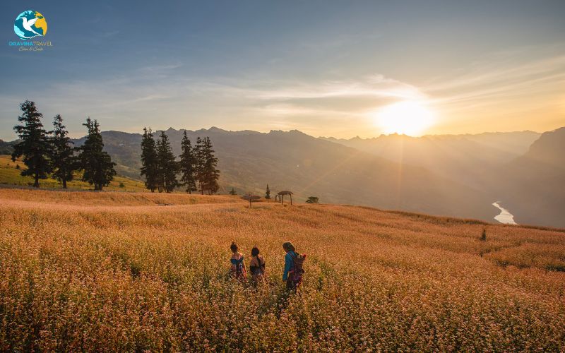 Admire the beautiful scenery of Vietnam