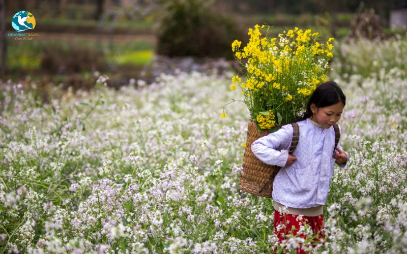 Ha Giang - Land of stone and flowers