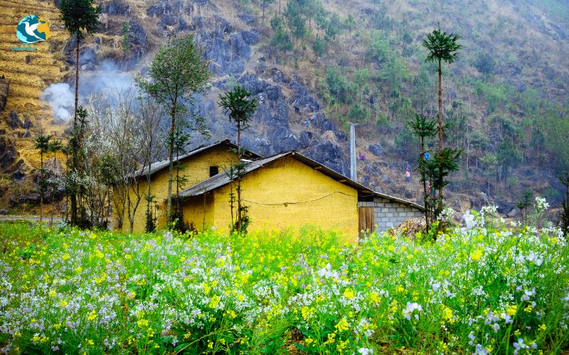 Ha Giang