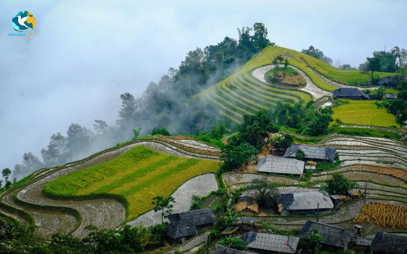 Discover Ha Giang with Oravina
