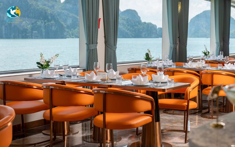 Five-Star Cruise Experience