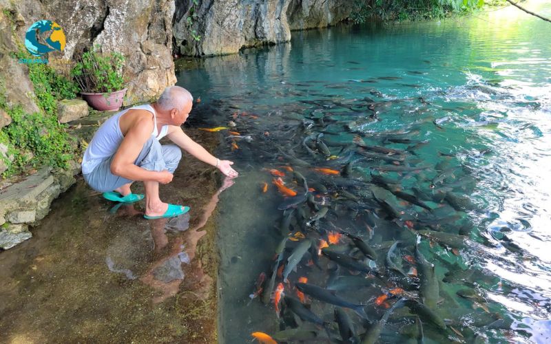 Cam Luong Holy Fish Stream