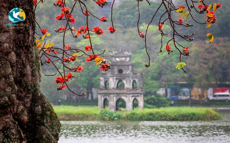 Travel from Hanoi to Ninh Binh