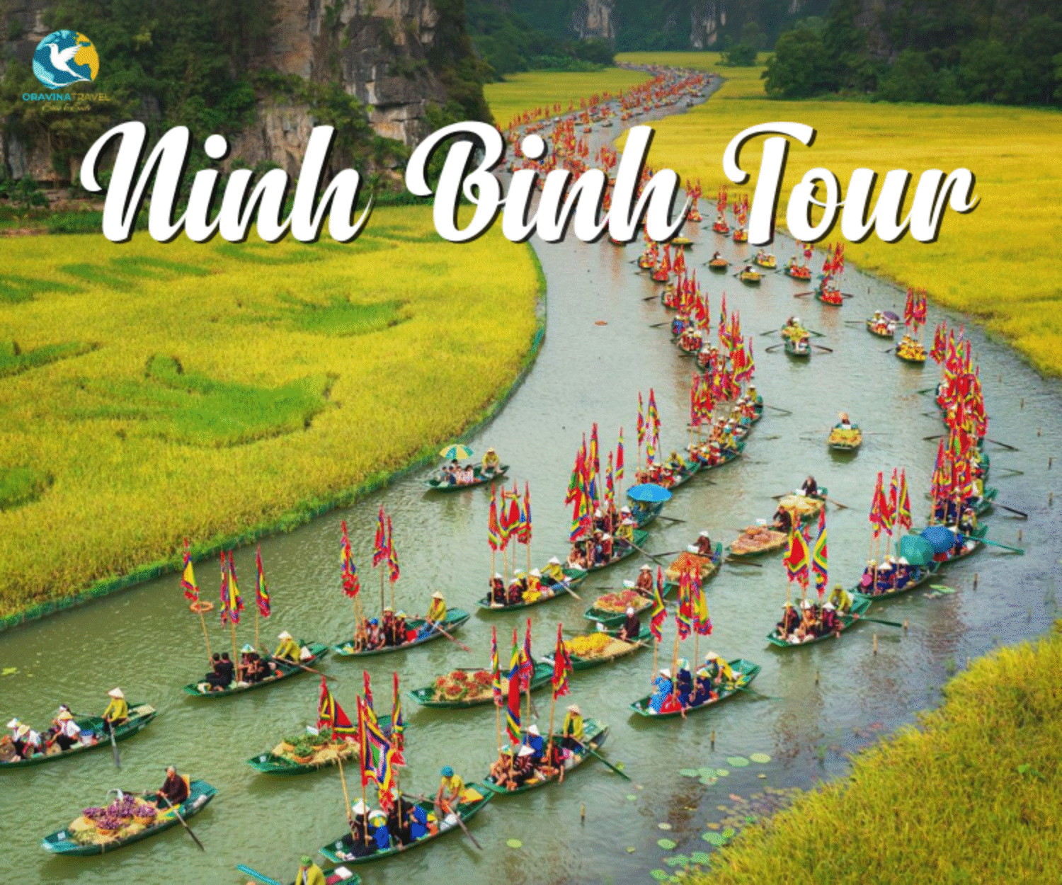 Ninh Binh Tour 1 Day