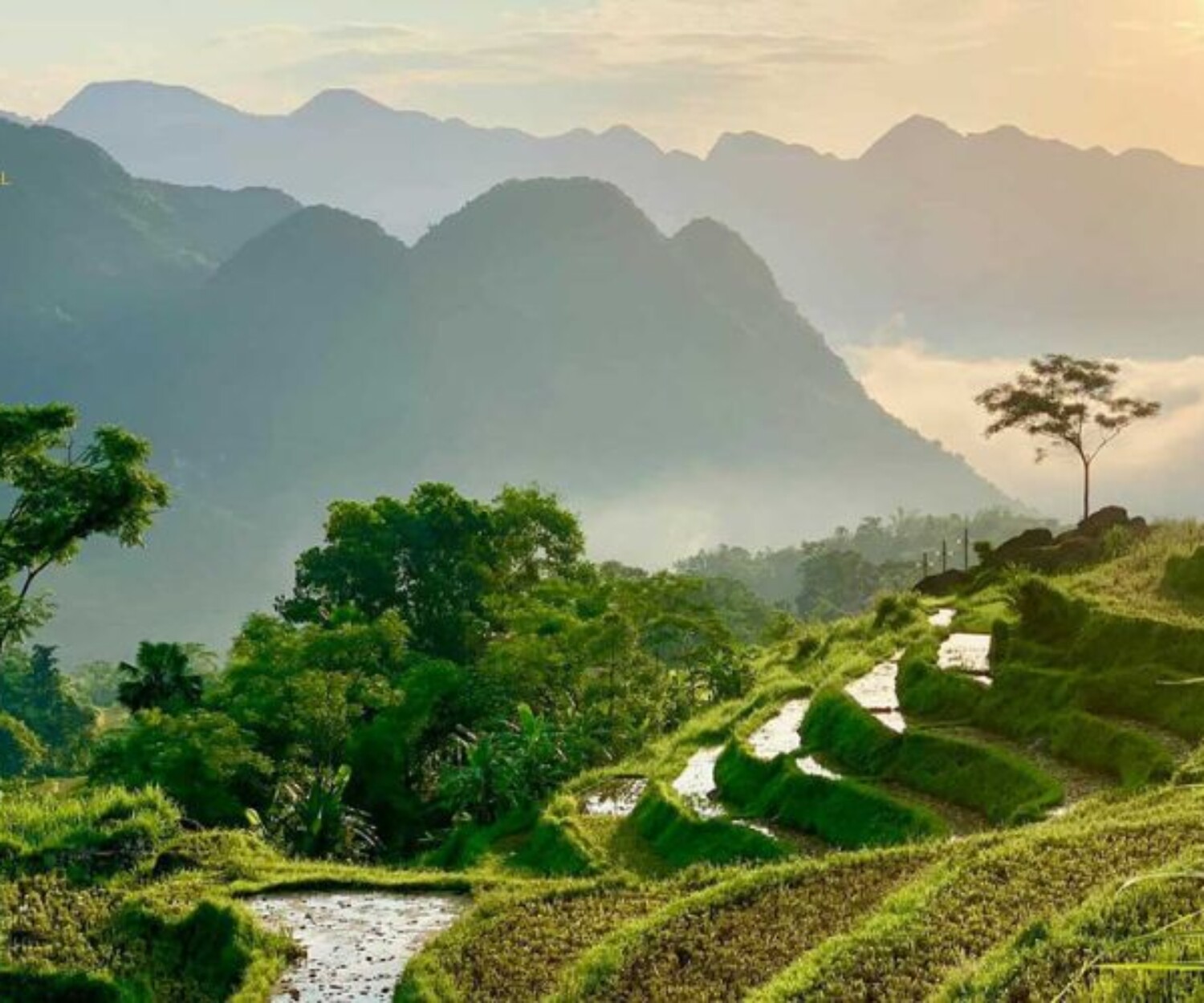 A miniature version of Northwest Vietnam