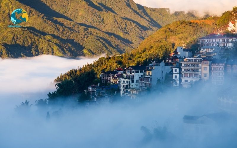 Sapa