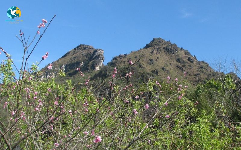 Ham Rong Mountain Garden 