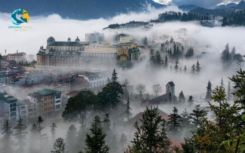 Sapa