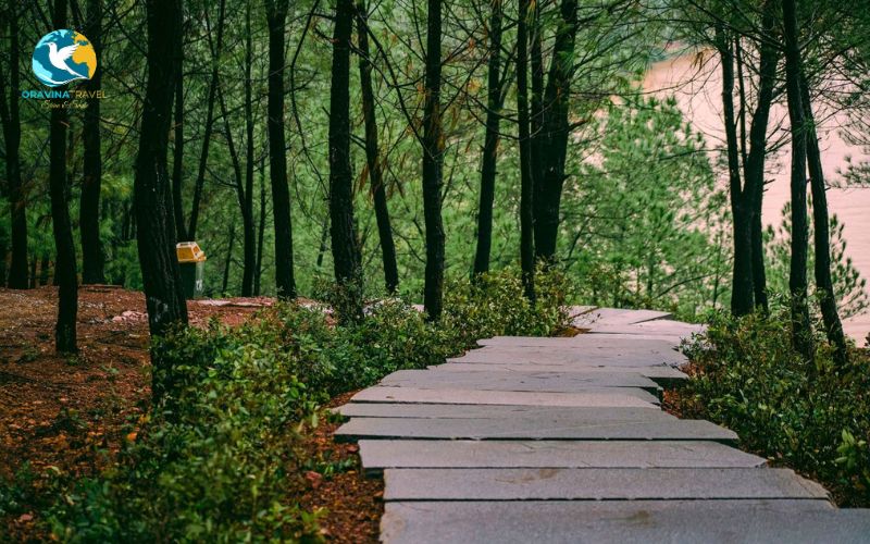 Must-see tourist attractions in the Ancient Capital