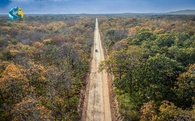 Yok Don National Park - the rhythm of the Central Highlands
