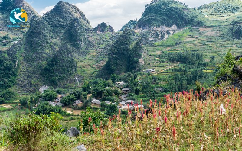 The ideal stopover for international tourists 