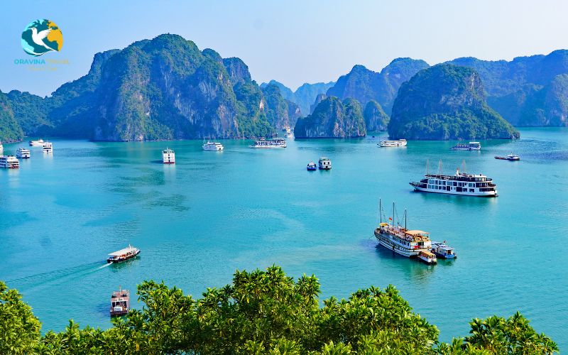 Ha Long Bay is famous worldwide