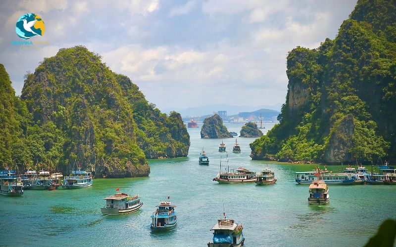 Ha Long Bay is a must-see for anyone visiting Northern Vietnam