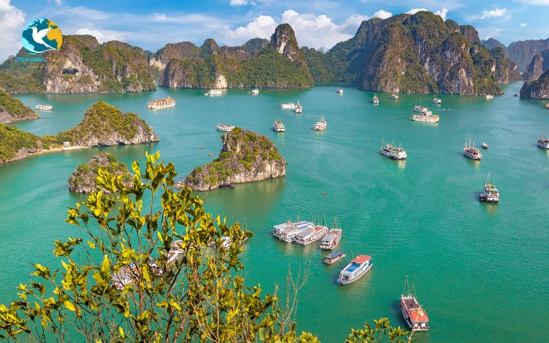 Ha Long Bay tour and dental care