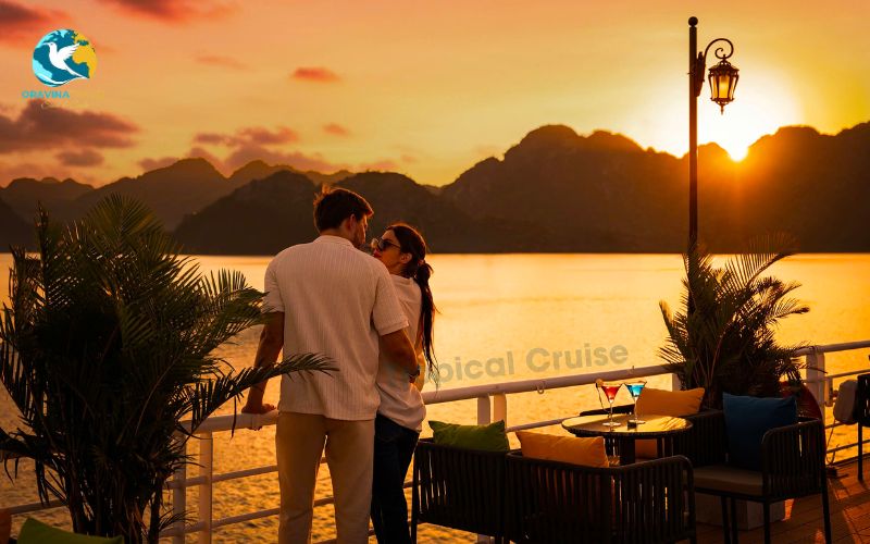 Luxurious cruise ships in the bay