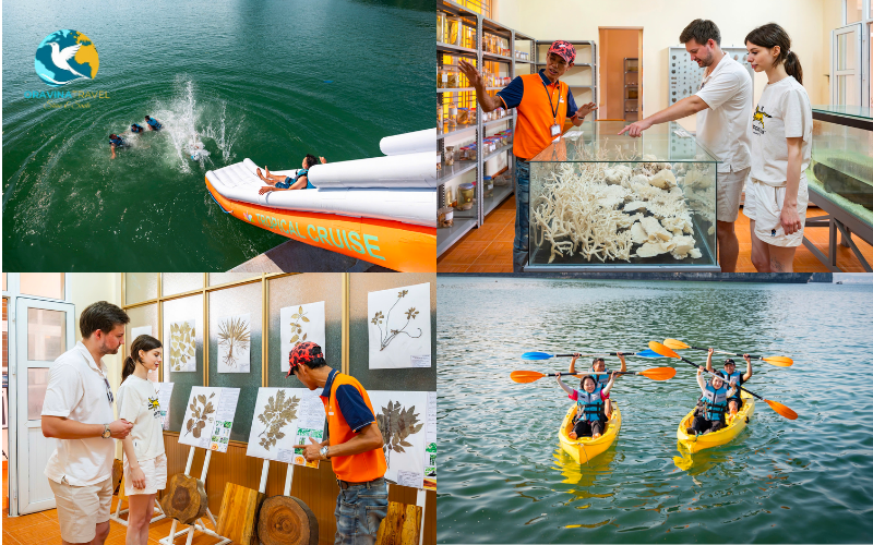 Lots of fun activities