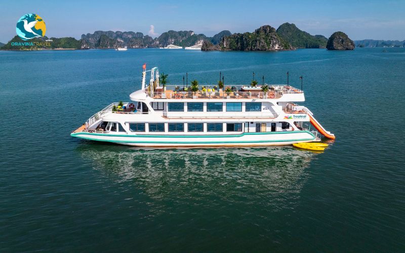 5 star cruise in Lan Ha Bay