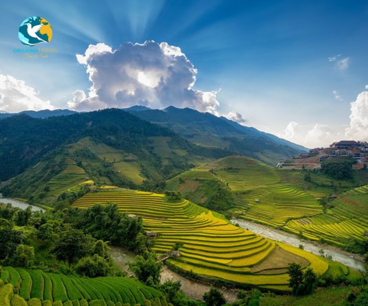 North Vietnam dental tour