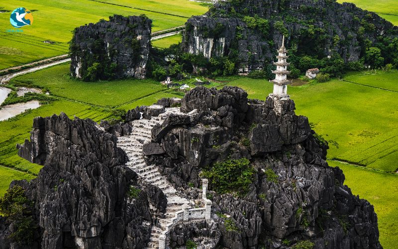 Dental tourism packages Ninh Binh